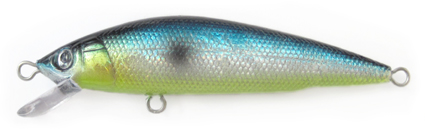 Minnow 2