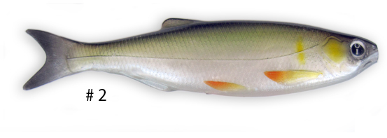 Umami l�jan f�rg 2