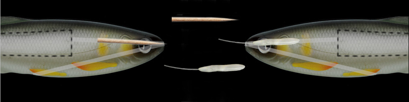 Plugga �vre kanalen p� umami l�jan